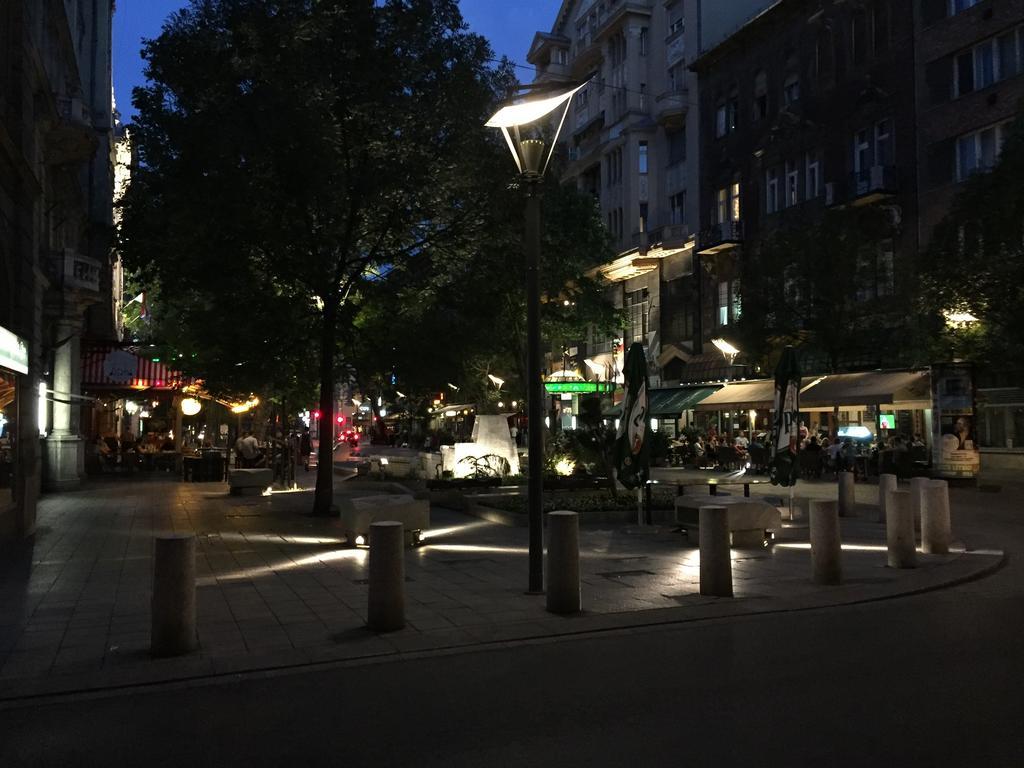 Apartment Near Opera In Downtown Budapest Exteriör bild
